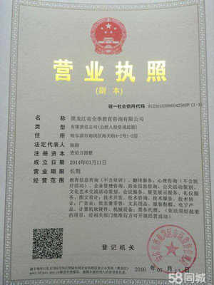 深耕黑土地，服务转型路——教育咨询服务助力发展全解析